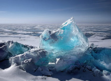 塞尔维亚教头担任猛龙新帅 纳什无缘重出江湖